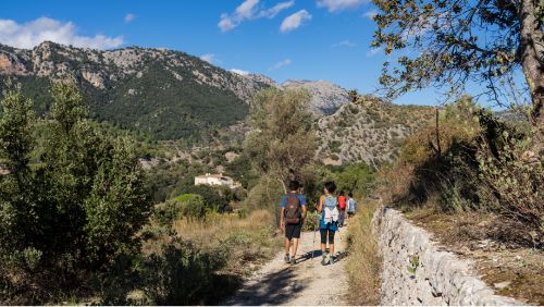 Gruppenwanderung mit Guide auf Mallorca Gruppenwanderung mit Guide auf Mallorca