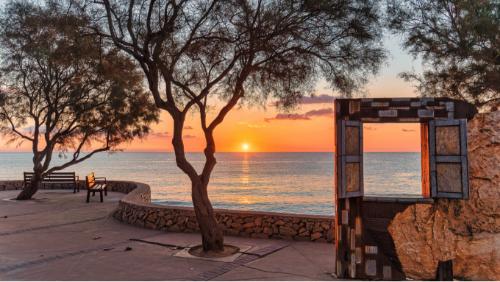 Winter auf Mallorca: mildes Klima, lebendige Städte und authentische Inselerlebnisse Winter auf Mallorca: mildes Klima, lebendige Städte und authentische Inselerlebnisse