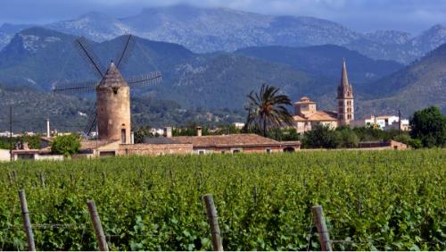 Herbst auf Mallorca: warme Temperaturen, ruhige Strände und stimmungsvolles Licht – perfekt zum Genießen und Entspannen Herbst auf Mallorca: warme Temperaturen, ruhige Strände und stimmungsvolles Licht – perfekt zum Genießen und Entspannen