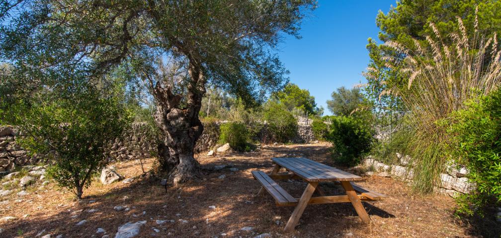 Finca Can Colomer Ferragut