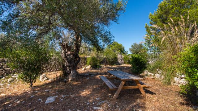 Finca Can Colomer Ferragut