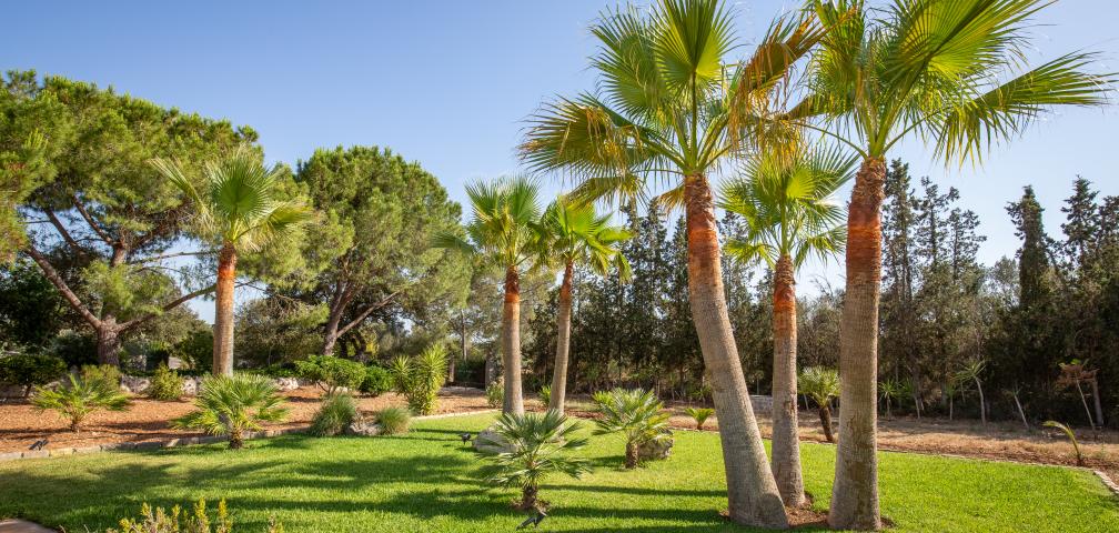 Finca Cel i Sol