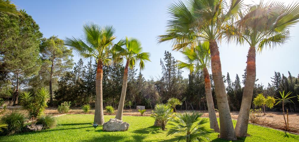 Finca Cel i Sol