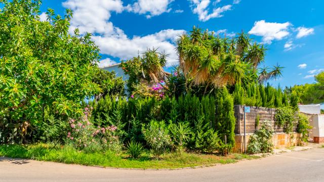 Villa Casa Vindobona