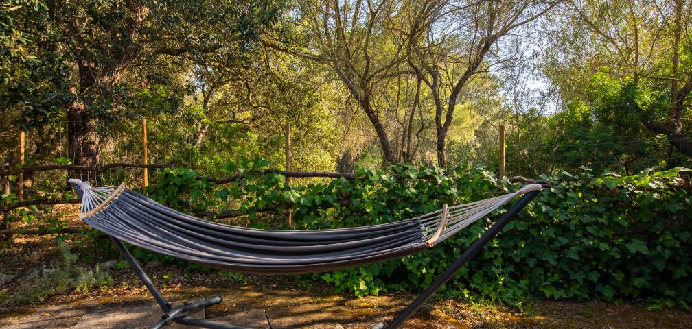 Finca S’Hort de Carrossa