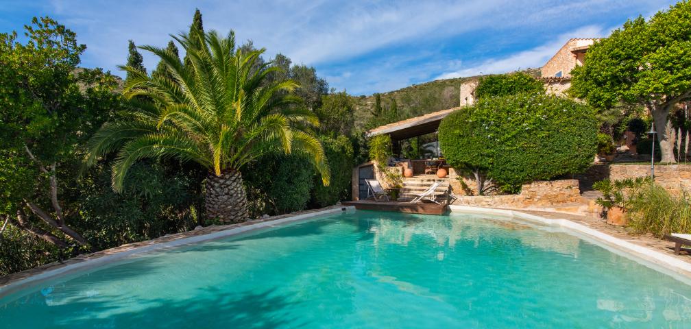 Finca-Appartment Los Palmitos