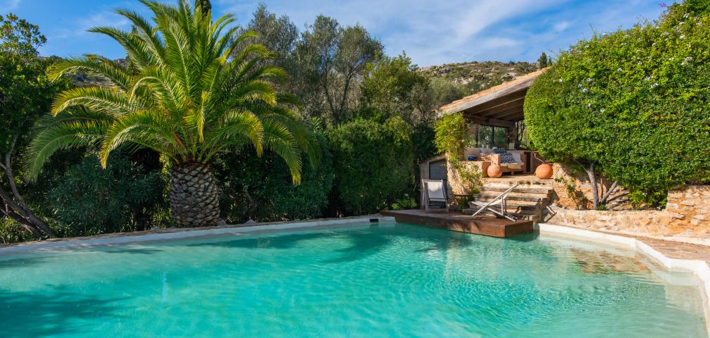 Finca-Appartment Los Palmitos