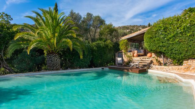 Finca-Appartment Los Palmitos