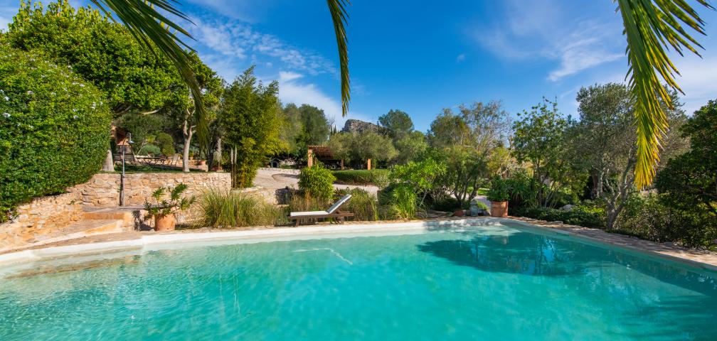 Finca-Appartment Los Palmitos