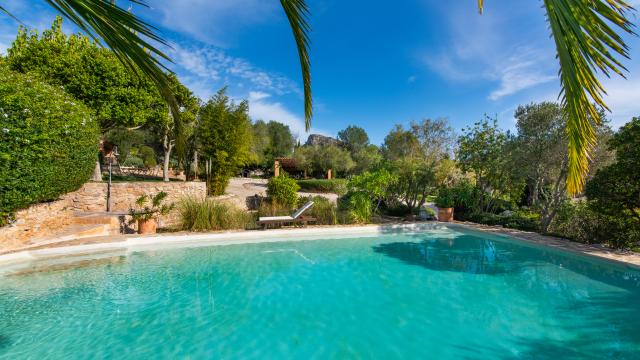 Finca-Appartment Los Palmitos