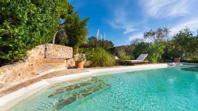 Finca-Appartment Los Palmitos