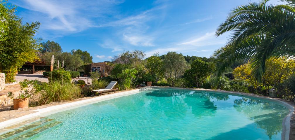 Finca-Appartment Los Palmitos