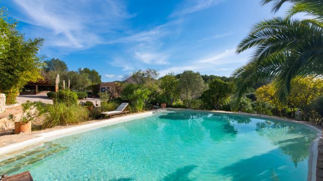 Finca-Appartment Los Palmitos