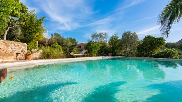 Finca-Appartment Los Palmitos