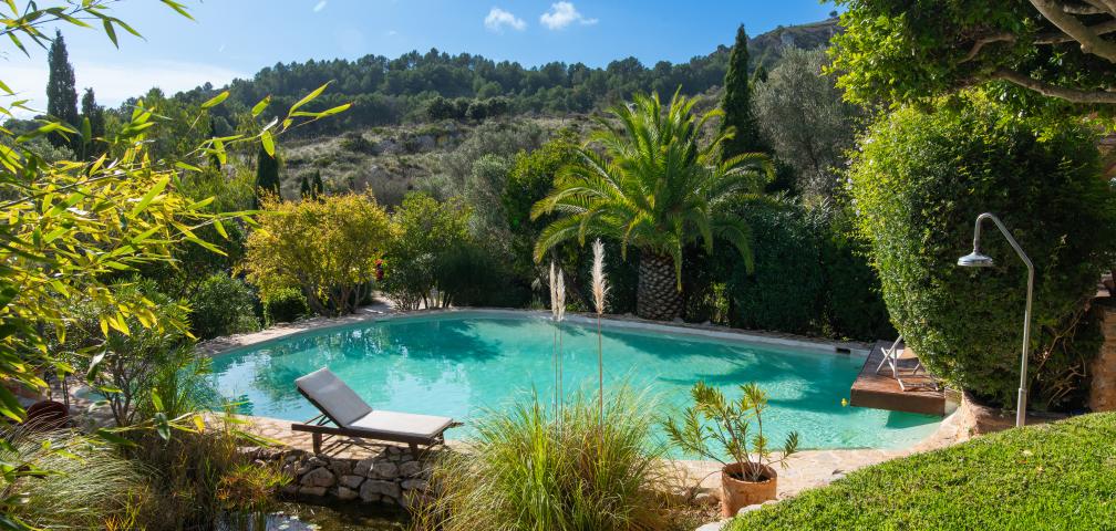 Finca-Appartment Los Palmitos