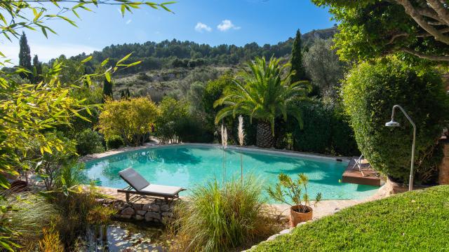 Finca-Appartment Los Palmitos