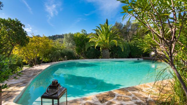 Finca-Appartment Los Palmitos