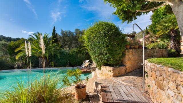 Finca-Appartment Los Palmitos