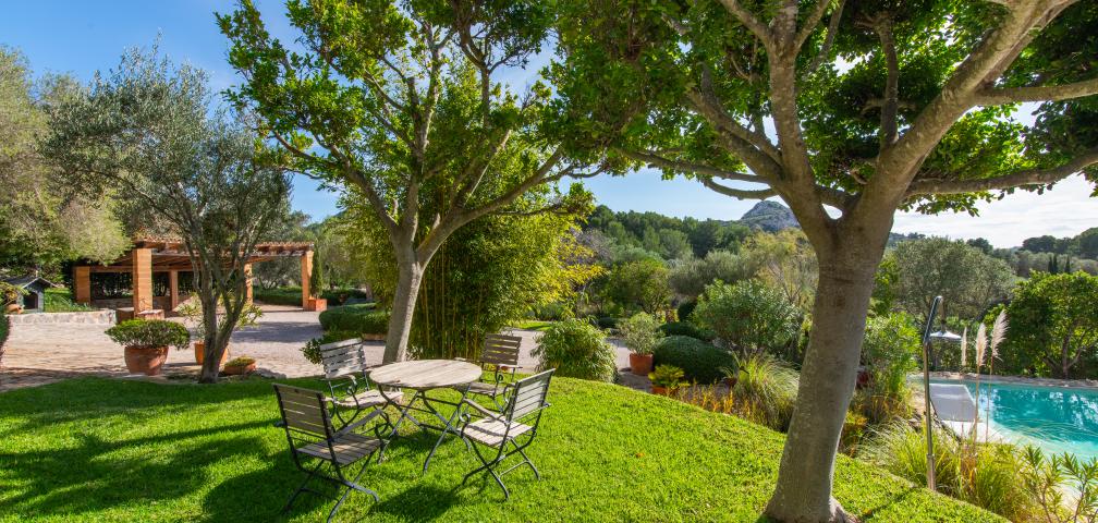 Finca-Appartment Los Palmitos