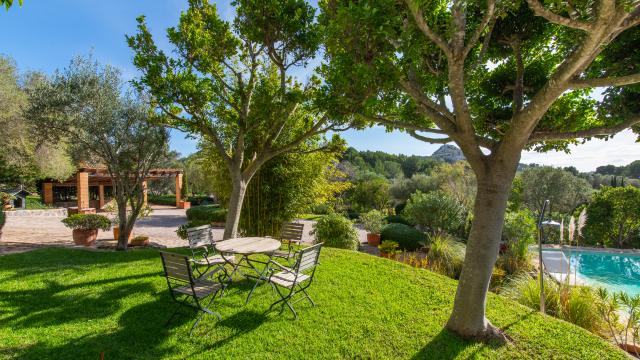 Finca-Appartment Los Palmitos