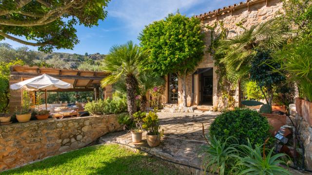 Finca-Appartment Los Palmitos