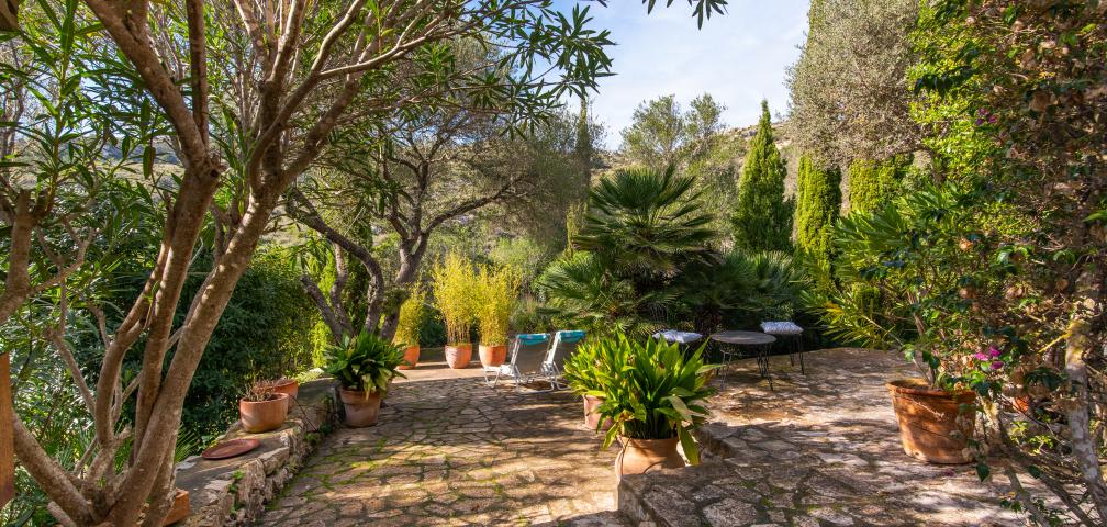 Finca-Appartment Los Palmitos