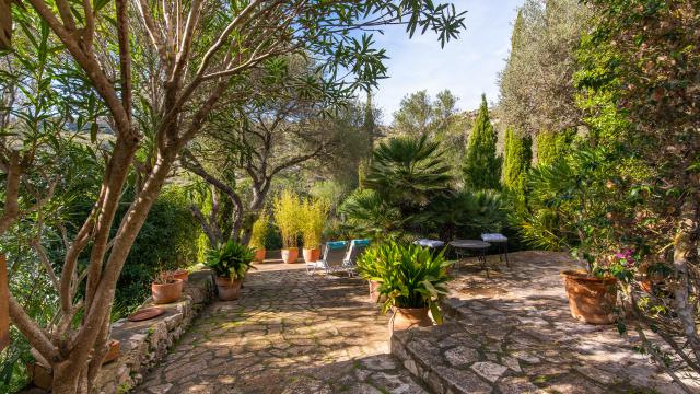 Finca-Appartment Los Palmitos