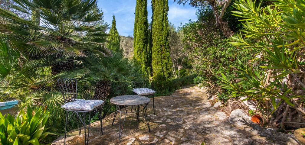 Finca-Appartment Los Palmitos