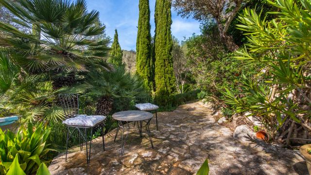 Finca-Appartment Los Palmitos