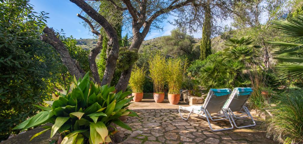 Finca-Appartment Los Palmitos