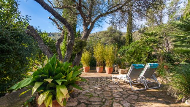 Finca-Appartment Los Palmitos