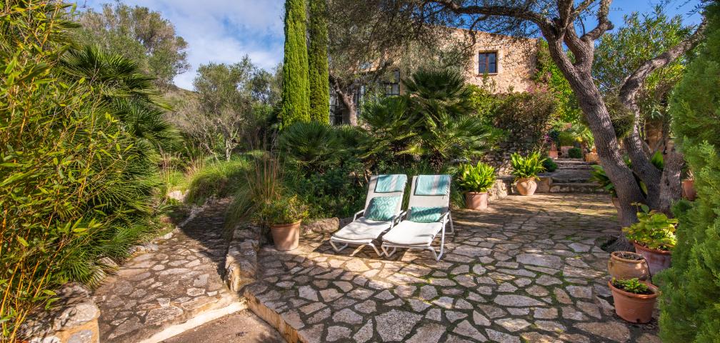 Finca-Appartment Los Palmitos