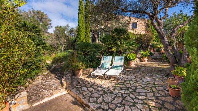 Finca-Appartment Los Palmitos