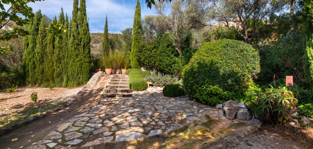 Finca-Appartment Los Palmitos