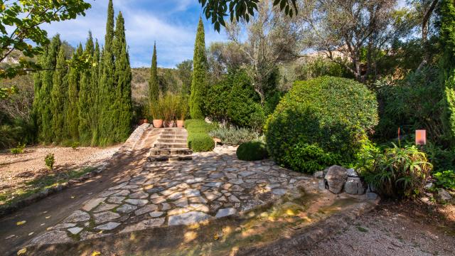 Finca-Appartment Los Palmitos