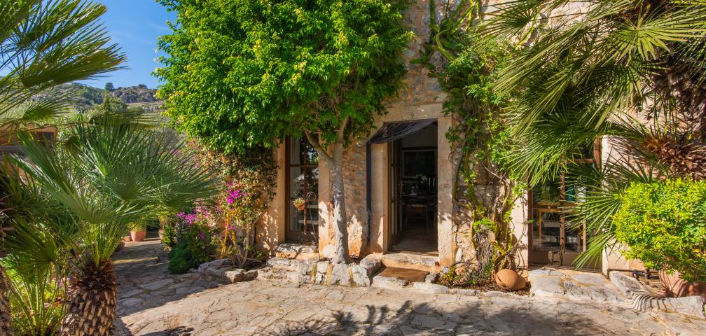 Finca-Appartment Los Palmitos