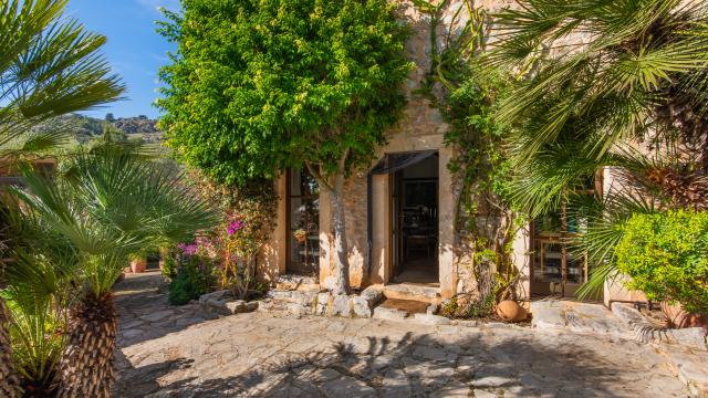 Finca-Appartment Los Palmitos