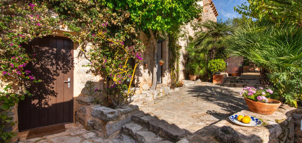 Finca-Appartment Los Palmitos