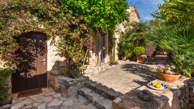 Finca-Appartment Los Palmitos