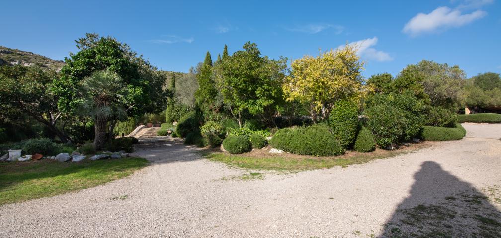 Finca-Appartment Los Palmitos