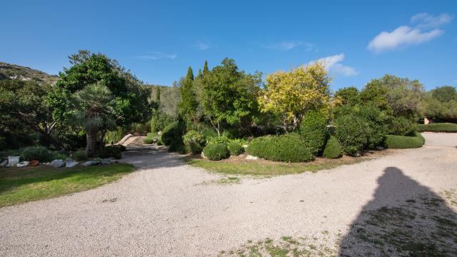 Finca-Appartment Los Palmitos