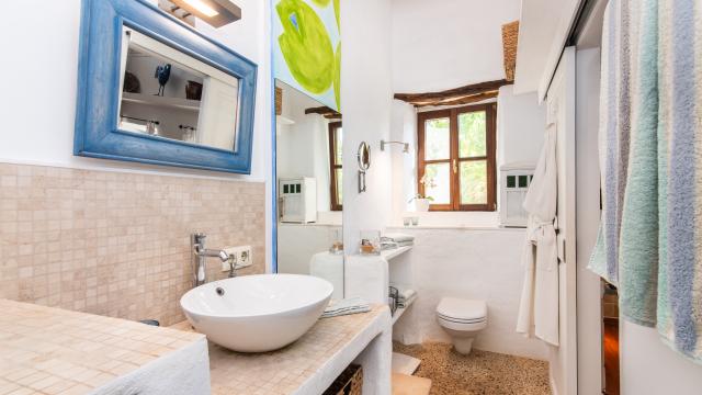 Finca-Appartment Los Palmitos