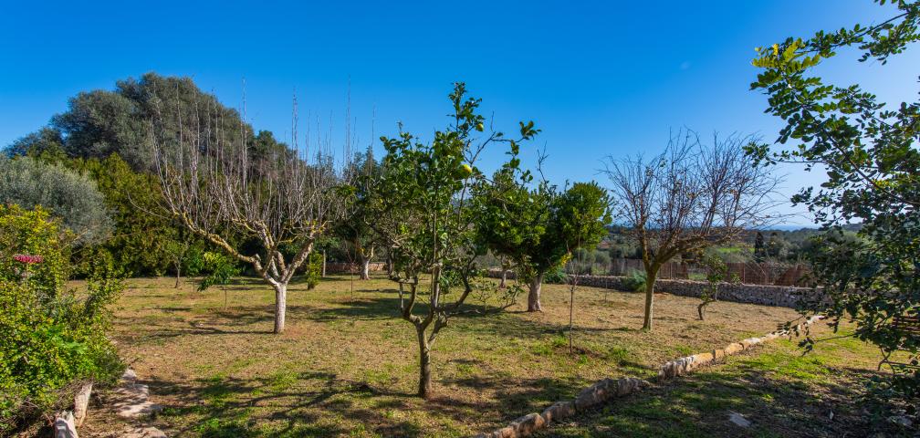 Finca Es Rafal de Baix