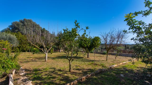 Finca Es Rafal de Baix