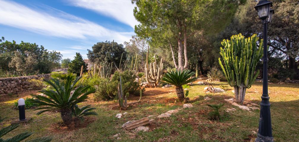 Finca Son Paparra