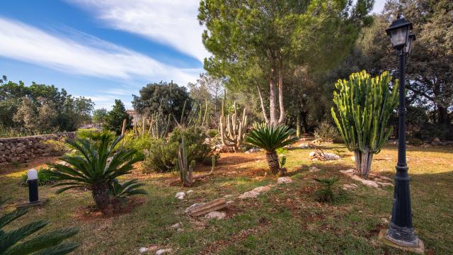 Finca Son Paparra