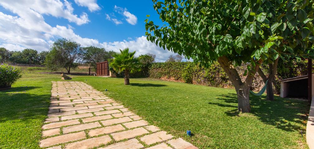 Finca Son Jaumell Petit