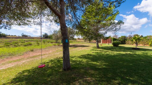 Finca Son Jaumell Petit