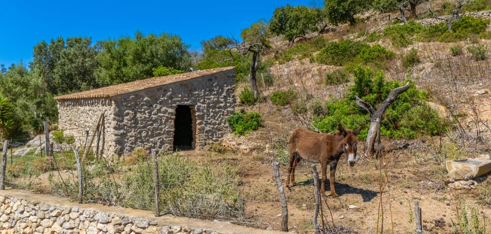 Finca S'Esquerda