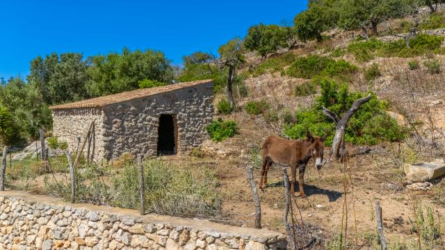 Finca S'Esquerda